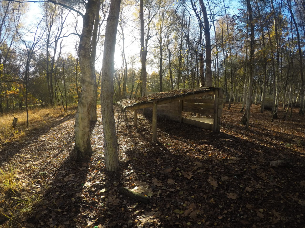 Impressie paintball veld Enschede