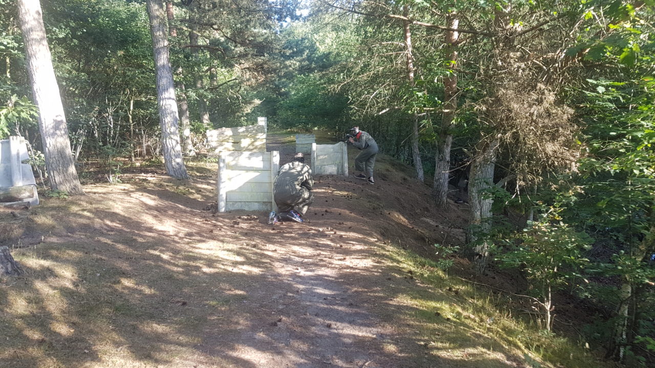 Zonnige dag in the jungle