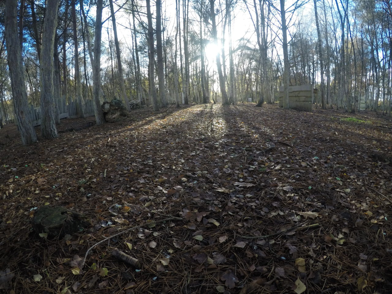 Zon schijnt door de bomen op het paintballveld